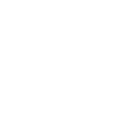 whitedogstudio