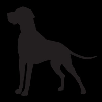 solo dog back Thumbnail